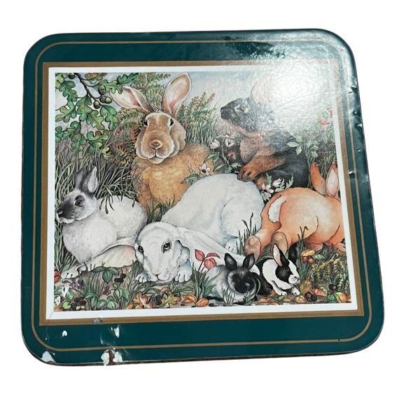 Pimpernel Coasters Bunny Rabbit Hare Easter Spring Cork - Picture 3 of 4